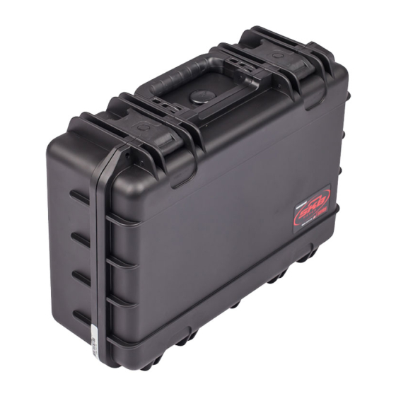 EFFECTOR DBSS DIRT 生産終了モデル ケース付き iSeries 1711-6 Waterproof Utility Case Empty | SKB Cases